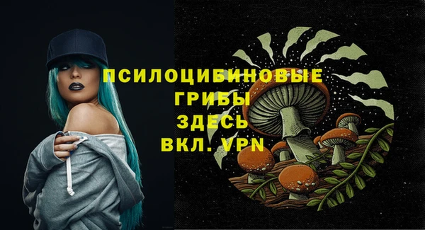 молекула духа Белокуриха