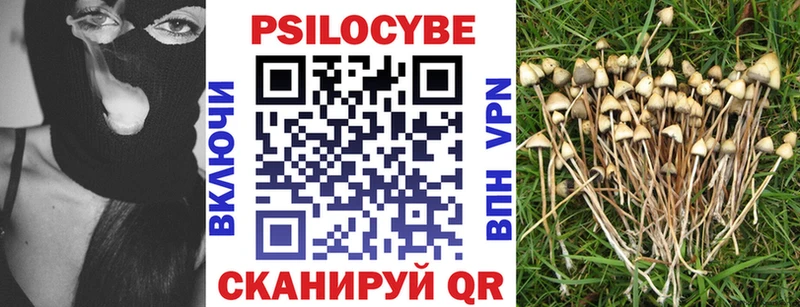 Галлюциногенные грибы Cubensis  хочу наркоту  Горячий Ключ 