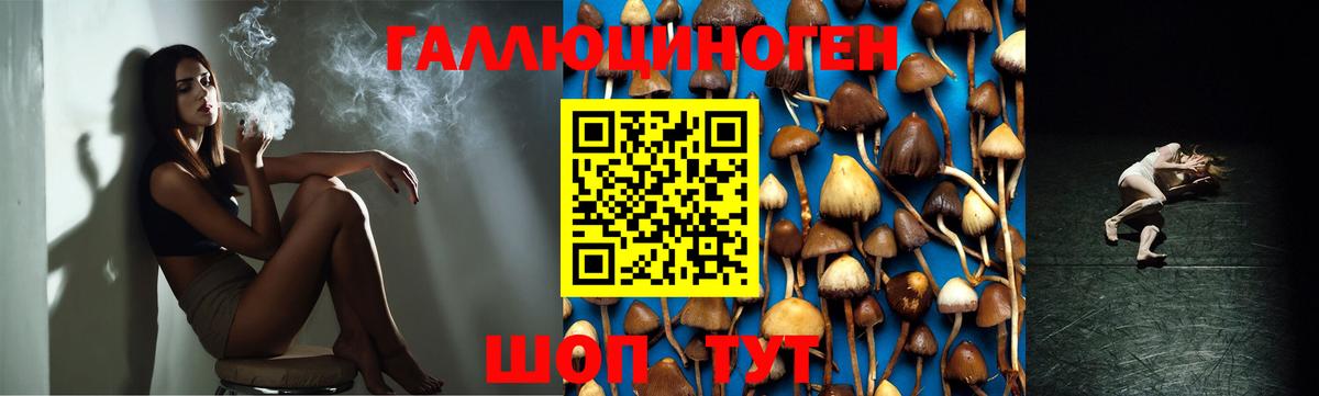 Галлюциногенные грибы ЛСД Горячий Ключ